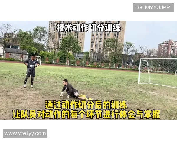 掌握足球守门员技巧的必看视频教学全攻略与实战演练